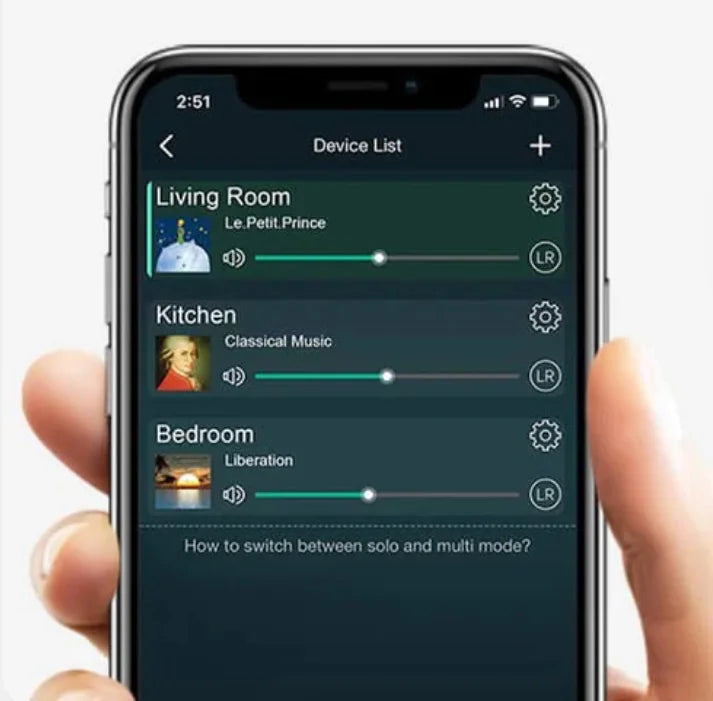 DATEQ DA-SA20R Rackmount streaming preamp 2 zone output with remote