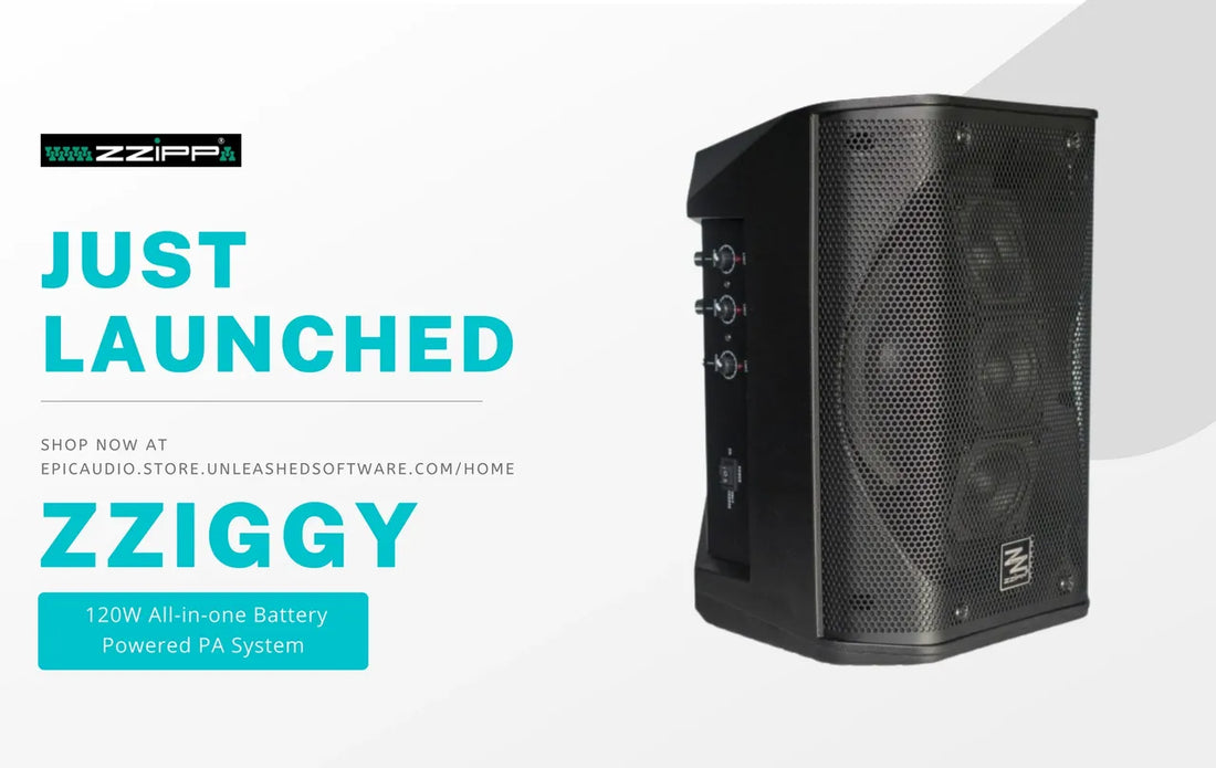 ZZIGGY - 120W Portable PA System
