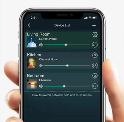 DATEQ DA-SA20R Rackmount streaming preamp 2 zone output with remote